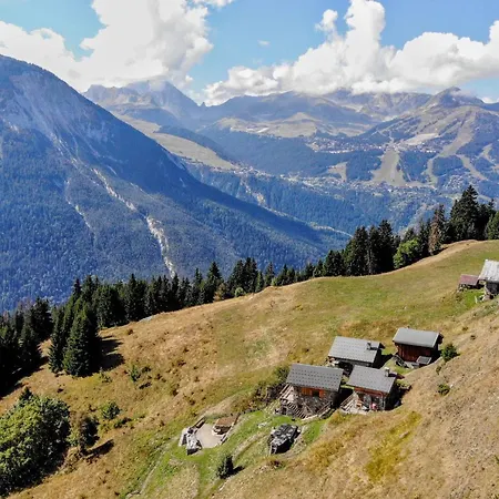 Alpage Pres Des Cimes, 8 Pers, Terrasse, Animaux Admis - Fr-1-464-148 木屋 拉普拉涅