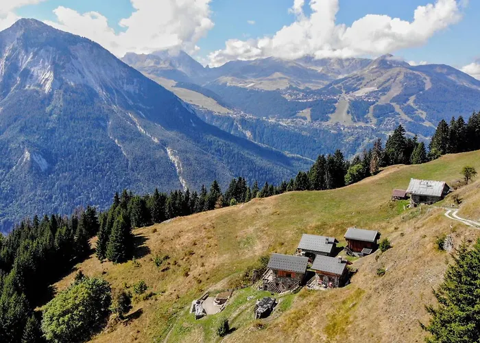 Alpage Pres Des Cimes, 8 Pers, Terrasse, Animaux Admis - Fr-1-464-148 木屋 拉普拉涅