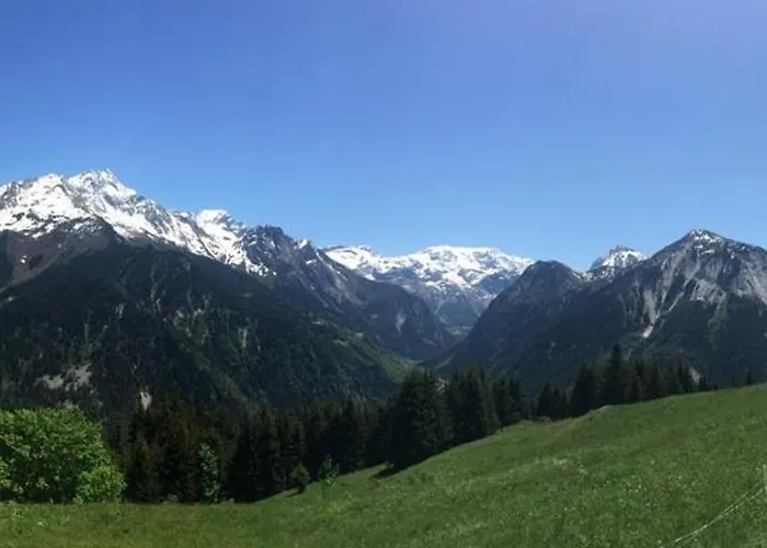 Alpage Pres Des Cimes, 8 Pers, Terrasse, Animaux Admis - Fr-1-464-148