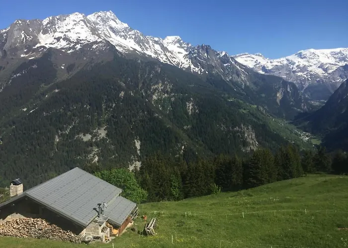 木屋 Alpage Pres Des Cimes, 8 Pers, Terrasse, Animaux Admis - Fr-1-464-148