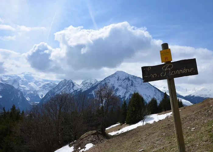 Alpage Pres Des Cimes, 8 Pers, Terrasse, Animaux Admis - Fr-1-464-148 木屋 拉普拉涅